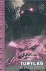TEENAGE MUTANT NINJA TURTLES THE IDW COLLECTION VOL 10 HC [9781684055906]